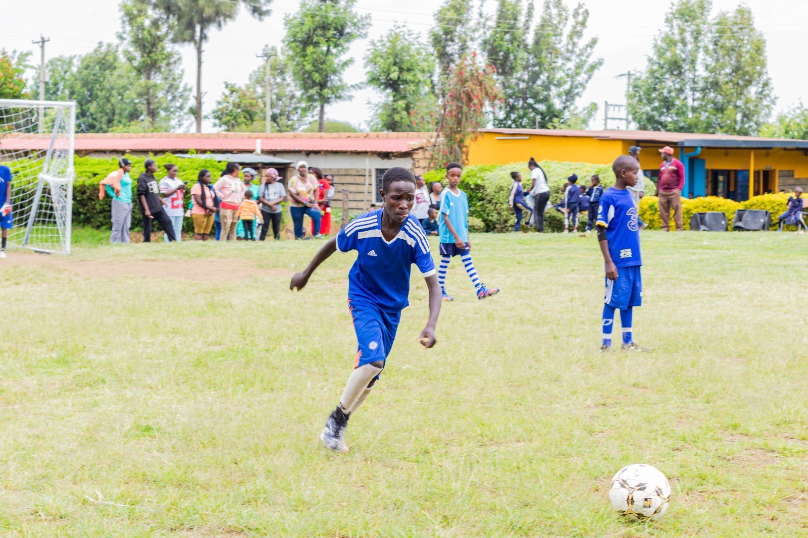 Sports field