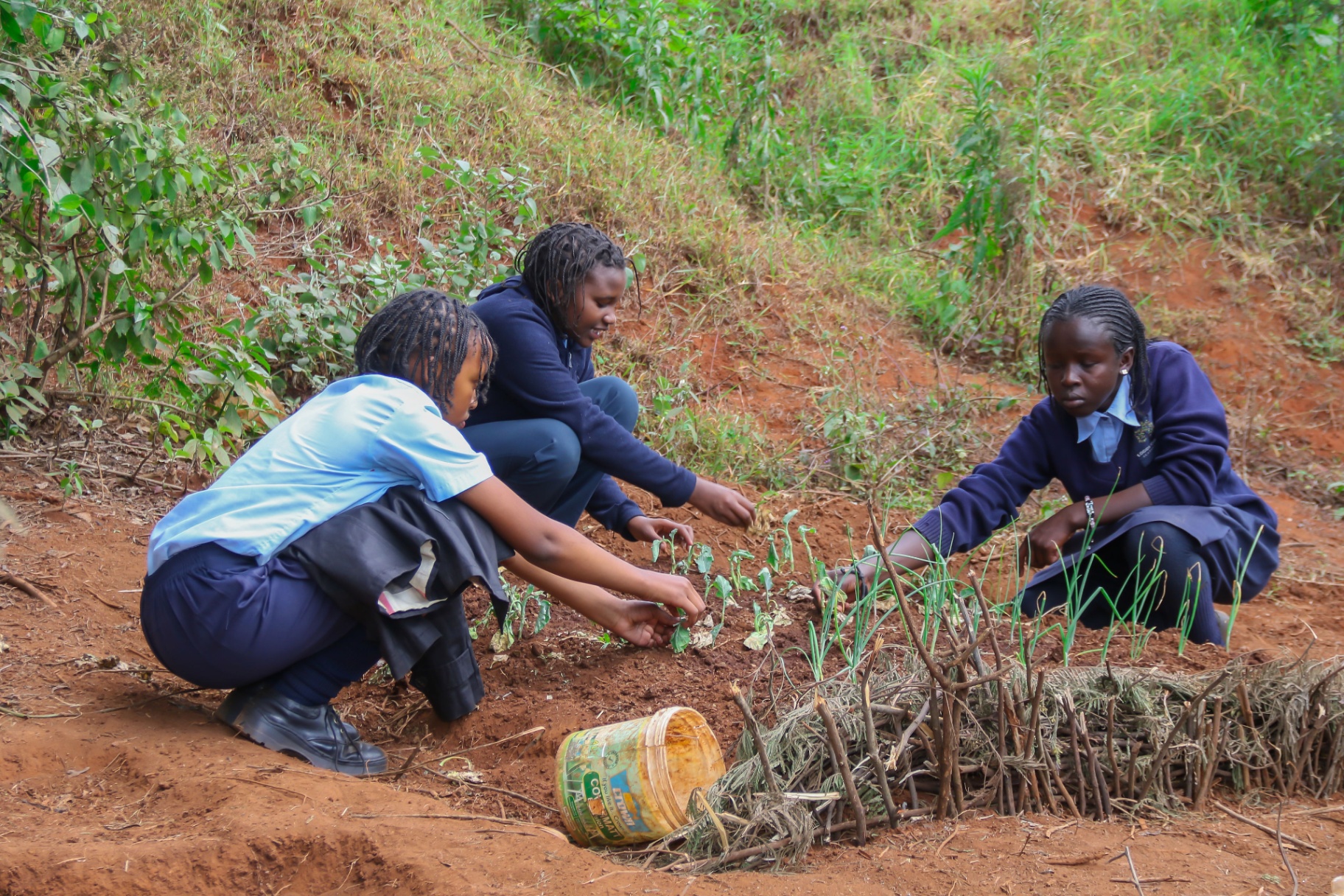 Agriculture — Planting Vegetables