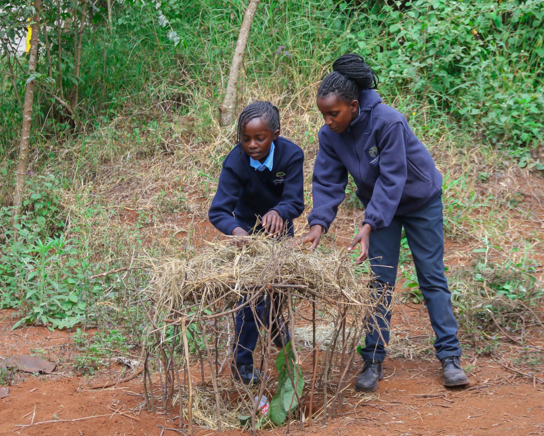 Environmental Stewardship — Composting